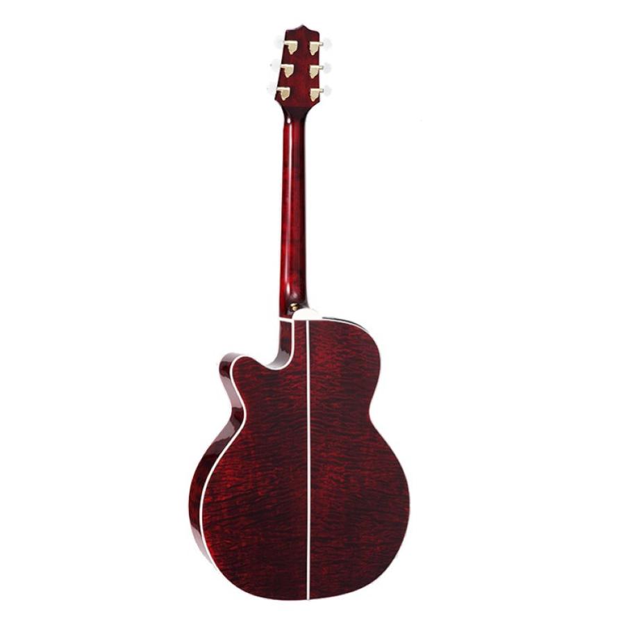 TAKAMINE GN75CE-WR Nex Ctw Elet G Series