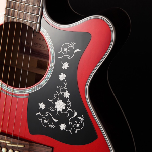 TAKAMINE GN75CE-WR Nex Ctw Elet G Series