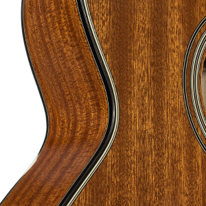 TAKAMINE GSN11MCE-NG