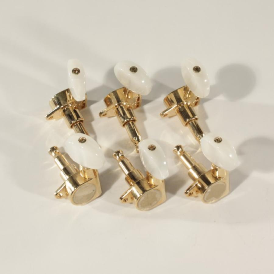 Takamine Meccaniche dorate chiavette perlate bulk TGP0561P