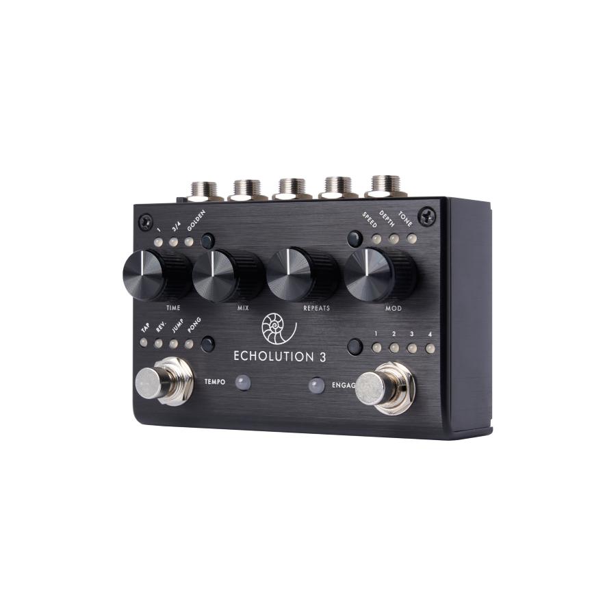 PIGTRONIX Echolution 3 Stereo Multi-Tap Delay