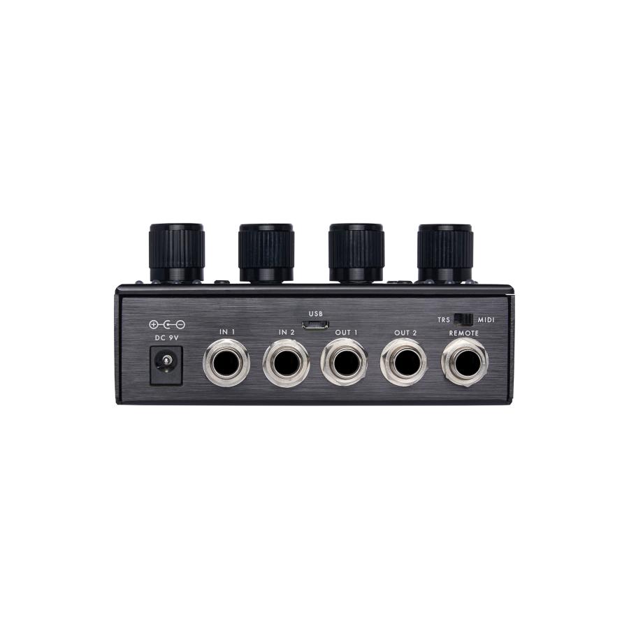 PIGTRONIX Echolution 3 Stereo Multi-Tap Delay