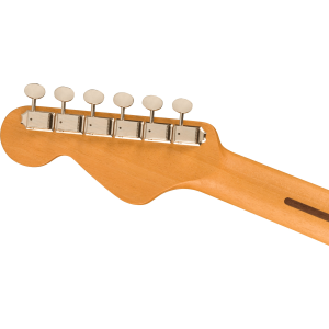 FENDER Highway Dreadnought Nat Rw