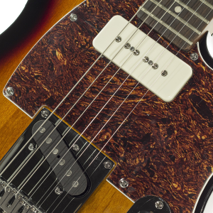 SCHECTER R66 Original PT Williams Vintage