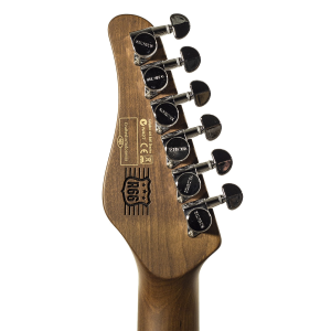 SCHECTER R66 Original Traditional Santa Fe