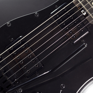SCHECTER R66 Bad Boy Traditional