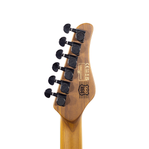 SCHECTER R66 Bad Boy Traditional
