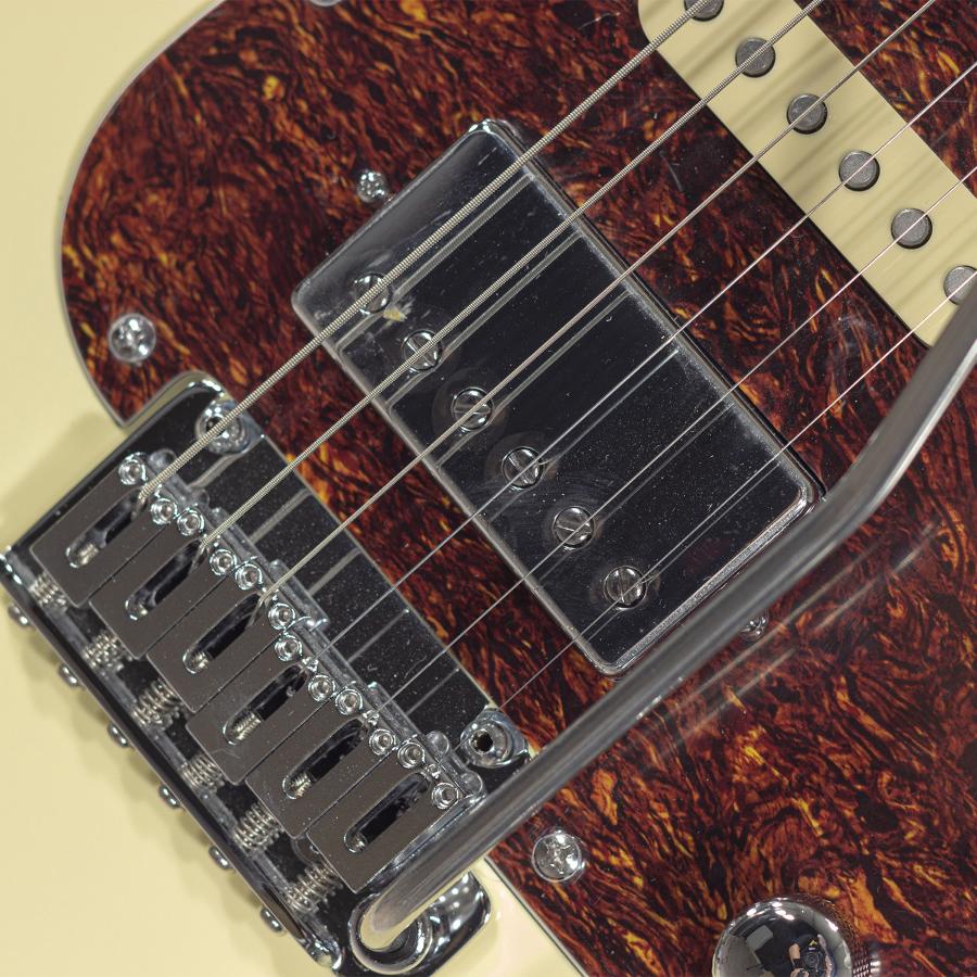 SCHECTER R66 Custom Traditional Saint Louis