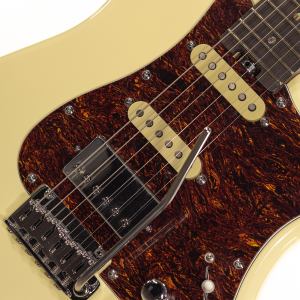 SCHECTER R66 Custom Traditional Saint Louis