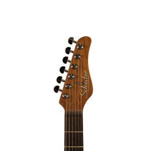 SCHECTER R66 Custom Traditional Saint Louis