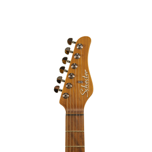 SCHECTER R66 Custom Traditional Santa Fe