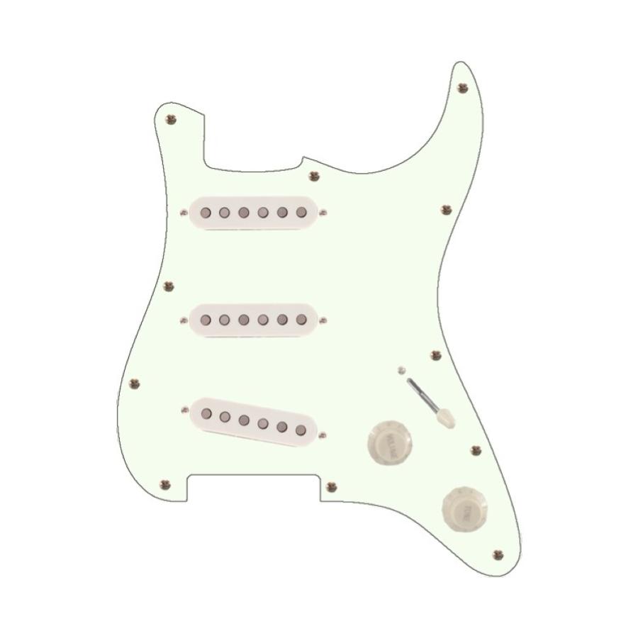 SCHECTER R66 Battipenna SSS pre-wired
