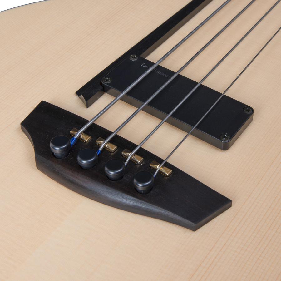 Godin Multiac A4 ULTRA Semi-Acoustic Basses A/E Fretless Natural