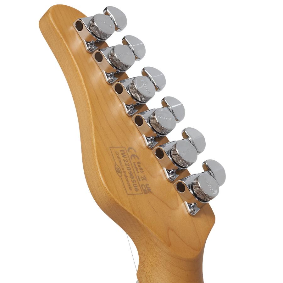 SCHECTER MV-6-GBLK