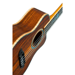 ORTEGA RUHZ30TH-JF ukulele