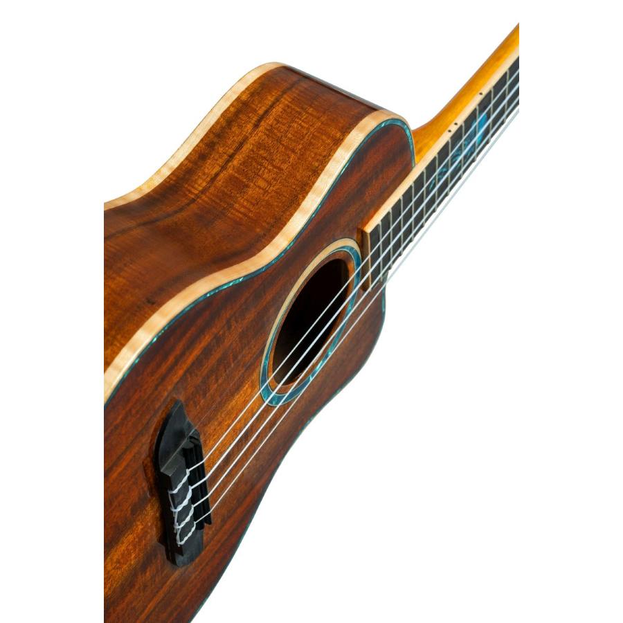 ORTEGA RUHZ30TH-JF ukulele