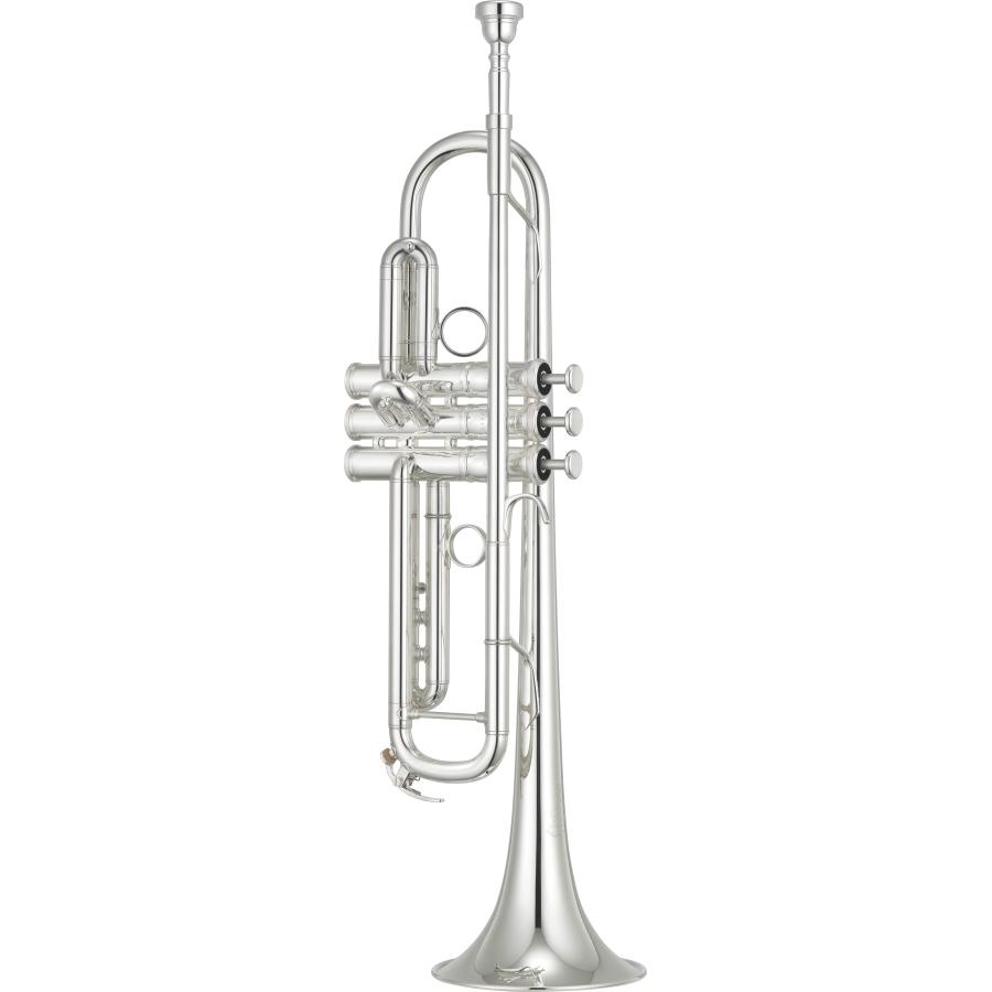 YAMAHA YTR-8335RGS 04 S In Sib Custom Argentata