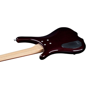 WARWICK Basso Elettrico Rockbass Infinity 5 Nirvana Nero