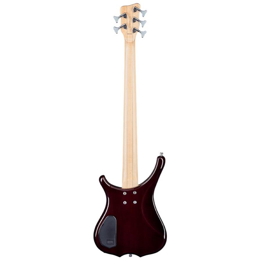 WARWICK Basso Elettrico Rockbass Infinity 5 Nirvana Nero