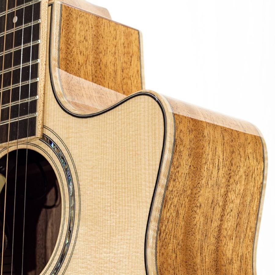 LARRIVEE Chitarra Acustica Elettrificata L-05 Venetian