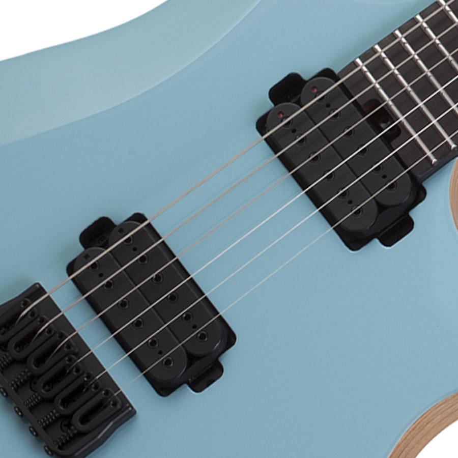 SCHECTER john browne tao-6-az