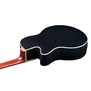 WARWICK Basso Acustico Mancino Alien Deluxe 5 Natural