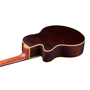 WARWICK Basso Acustico Mancino Alien Standard 5 Natural