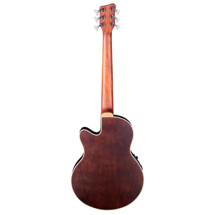 WARWICK Basso Acustico Mancino Alien Standard 5 Natural
