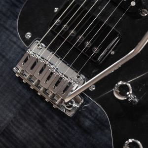SCHECTER R66 Elite II Ebony Traditional See-Thru Black
