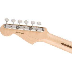 Fender Eric Clapton Stratocaster Pewter