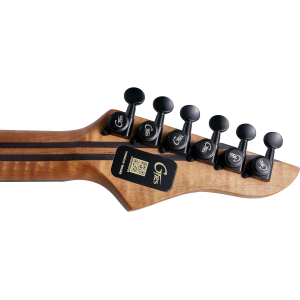MOOER GTRS M810 purple burst