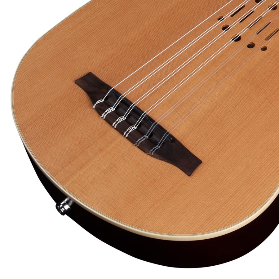 GODIN Chitarra Classica Multiac Multioud Encore Nylon