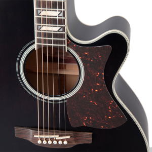 TAKAMINE GB GN73CE SB