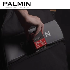 PALMIN-C-BK electric Guitar case