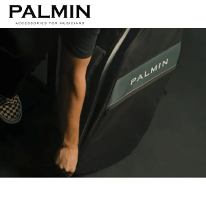 PALMIN-C-BK electric Guitar case