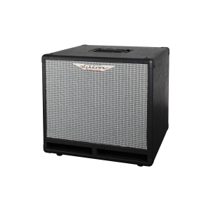 ASHDOWN rm-110t-evo iii