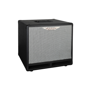 ASHDOWN rm-110t-evo iii