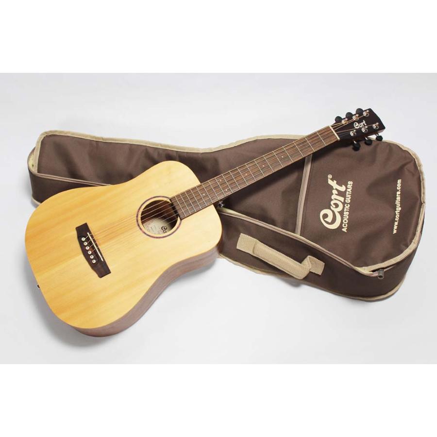 CORT EARTH MINI OP W/BAG