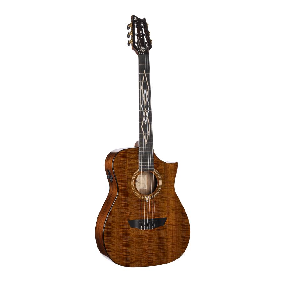 CORT FRANK GAMBALE LUXE NYLON BR W/CASE