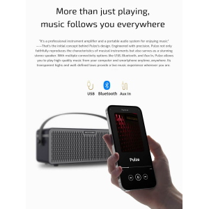 HOTONE AP-30BK amplificatore digitale