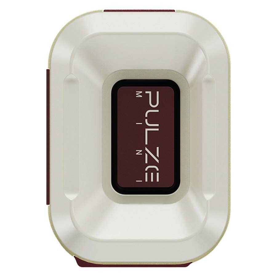 HOTONE AP-5WH amplificatore digitale pulze mini