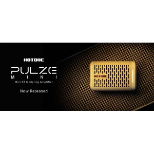 HOTONE AP-5WH amplificatore digitale pulze mini