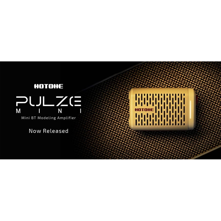 HOTONE AP-5WH amplificatore digitale pulze mini