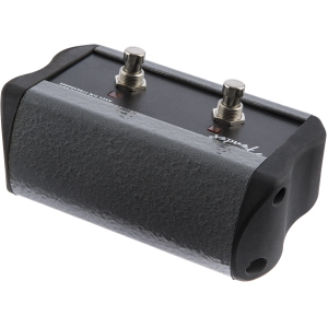 FENDER ftsw 2 btn acoustic pro/sfx