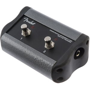 FENDER ftsw 2 btn acoustic pro/sfx