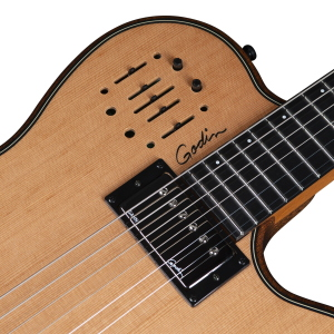 GODIN Chitarra Acustica Multiac A 6 Ultra Deluxe Natural HG