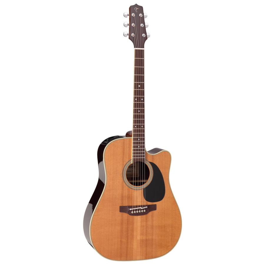 TAKAMINE Japan Dreadnought Ctw Elet Thermal
