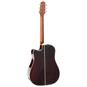 TAKAMINE Japan Dreadnought Ctw Elet Thermal
