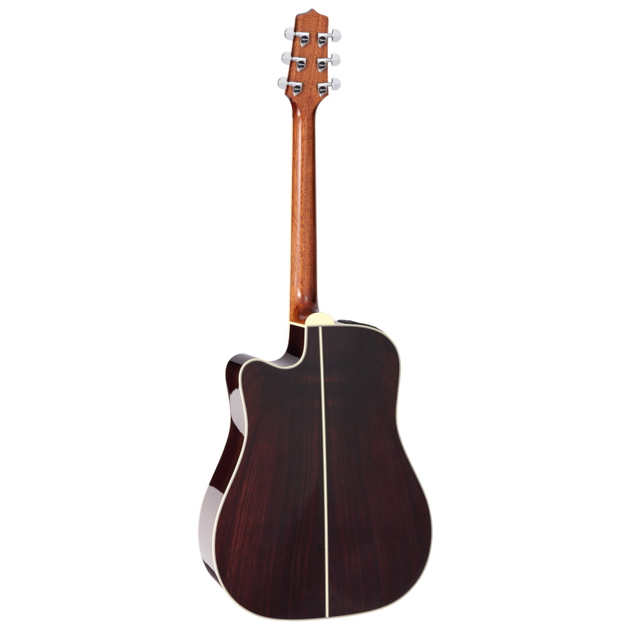TAKAMINE Japan Dreadnought Ctw Elet Thermal