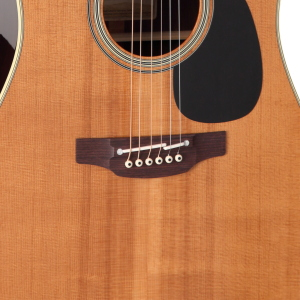 TAKAMINE Japan Dreadnought Ctw Elet Thermal